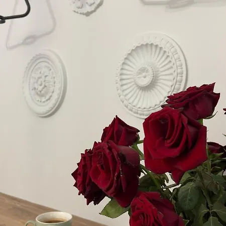 Rivershine Cracow 克拉科夫