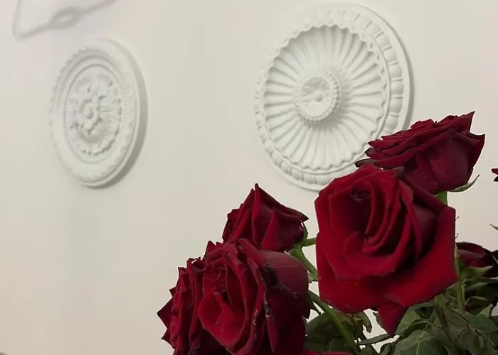 Rivershine Cracow Krakau